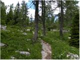 Planina Blato - Koča pri Triglavskih jezerih